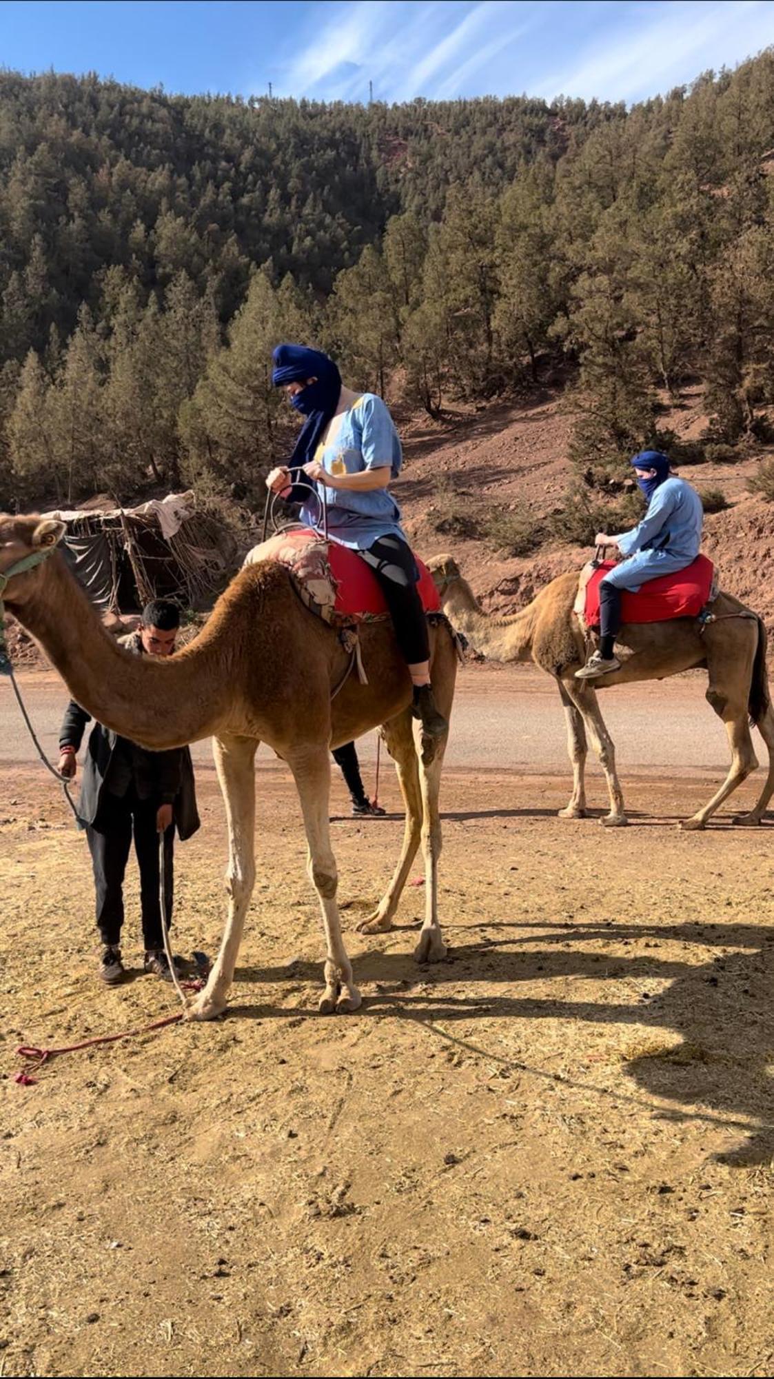 Tazart Lodge Marrakesh Buitenkant foto